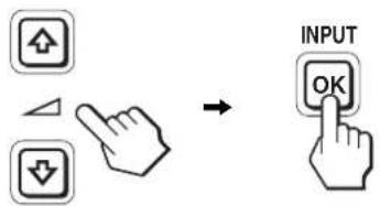INPUT OK