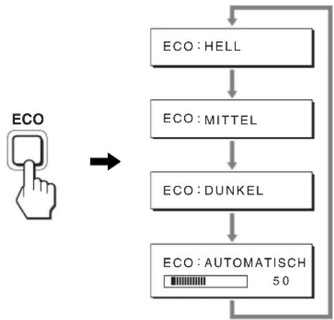 graph TD A["ECO"] --> B["ECO : HELL"] B --> C["ECO : MITTEL"] C --> D["ECO : DUNKEL"] D --> E["ECO : AUTOMATISCH 50"]
