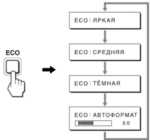 graph TD A["ECO"] --> B["ECO: ЯРКАЯ"] B --> C["ECO: СРЕДНЯЯ"] C --> D["ECO: ТЁМНАЯ"] D --> E["ECO: АВТОФОРМАТ 50"]