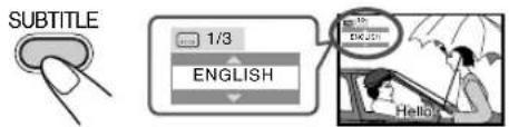 SUBTITLE 1/3 ENGLISH 15 ENGLISH Hello