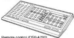 Remote control (DSP-A700)