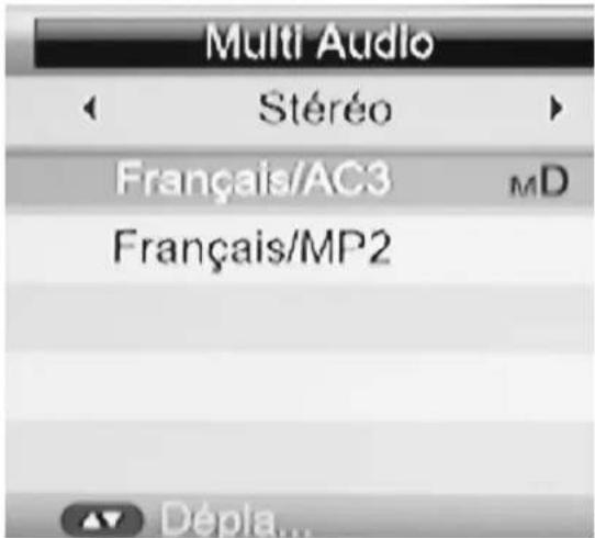 Multi Audio Stéréo Français/AC3 MD Français/MP2 Dépla...