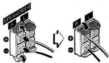 SPEAKERS B L + - + + - -