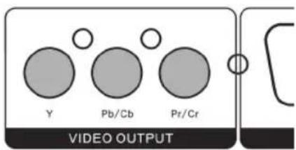 Y Pb/Cb Pr/Cr VIDEO-AUSGANG