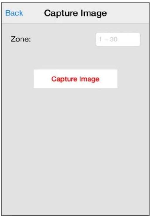 Back Capture Image Zone: 1 - 30 Capture Image