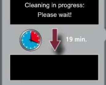Cleaning in progress: Please wait! 19 min.