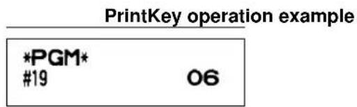 PrintKey operation example *PGM* #19 06