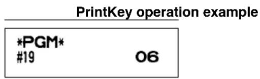 PrintKey operation example *PGM* #19 06