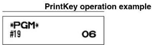 PrintKey operation example *PGM* #19 06