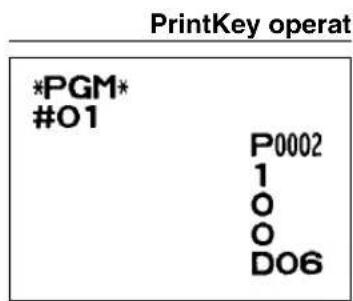 Print key operation *PGM* #01 P0002 1 0 0 DO6