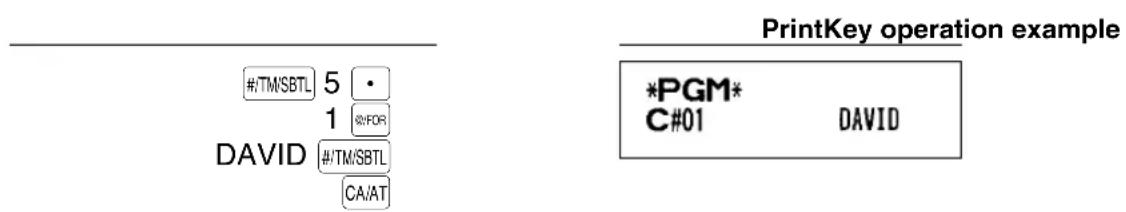 #/TM/SBTL 5 • 1 @FOR DAVID #/TM/SBTL CA/AT PrintKey operation example *PGM* C#01 DAVID