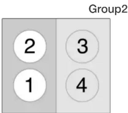 Group2 2 3 1 4