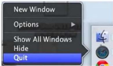 New Window Options Show All Windows Hide Quit