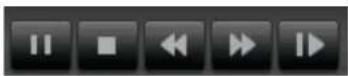 TRENDNET TV-IP319PI - Playback - 1