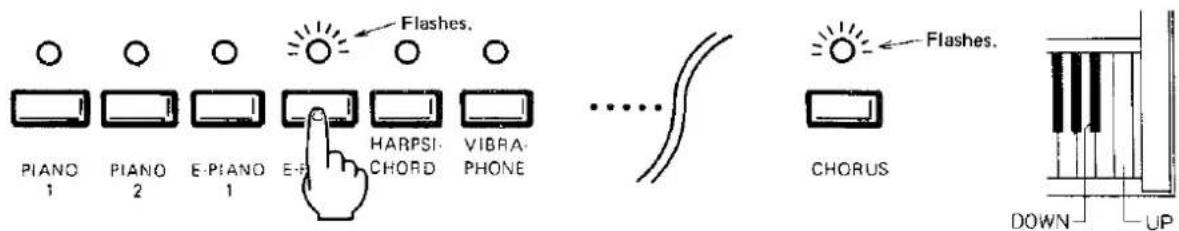 PIANO 1 PIANO 2 E-PIANO 1 E-P Flashes. HARPSI- CHORD VIBRA- PHONE ...... CHORUS Flashes. DOWN UP