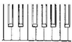 KAWAI 350 - TRANSPOSE - 2