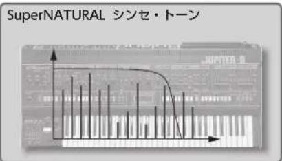 ROLAND JUPITER-50 - トーン - 2