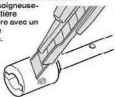 oigneuse- tière re avec un