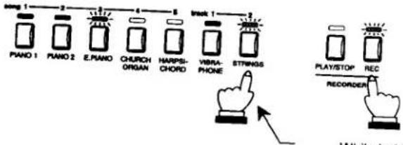Piano 1 Piano 2 E.Piano CHURCH ORGAN HARPSI-CHORD VIBRA-PHONE STINGS Week 1 PLAY/STOP REC RECORDED Multi-tractable