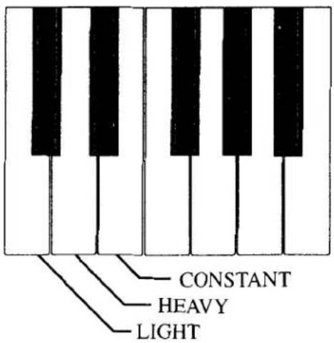 CONSTANT HEAVY LIGHT
