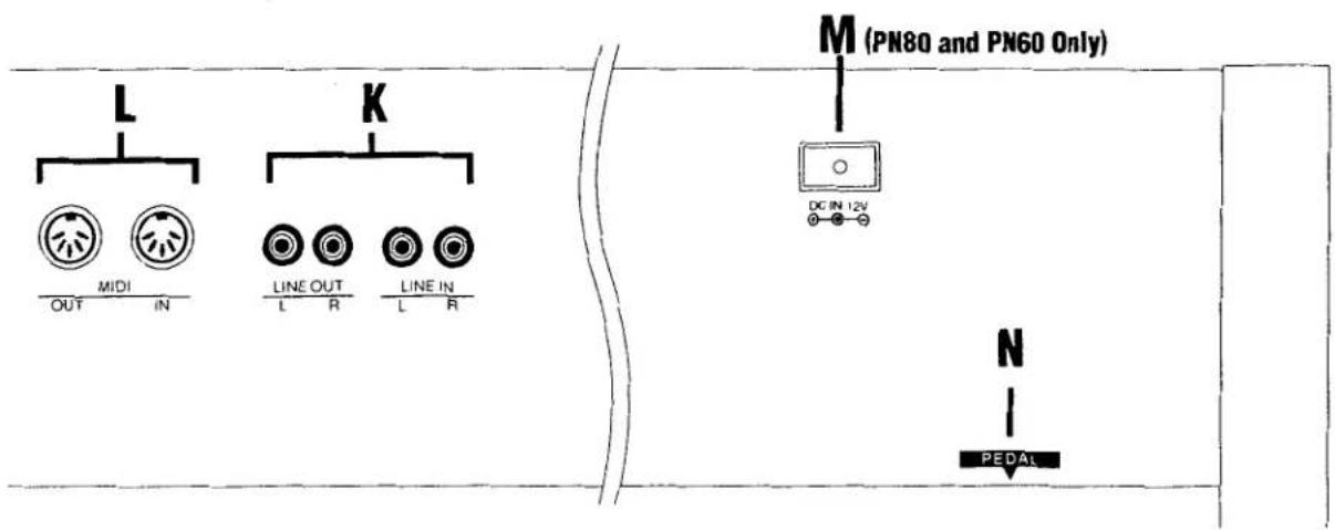 L MIDI OUT IN K LINE OUT L R LINE IN L R M (PN80 and PN60 Only) DC IN 12V N PEDAL