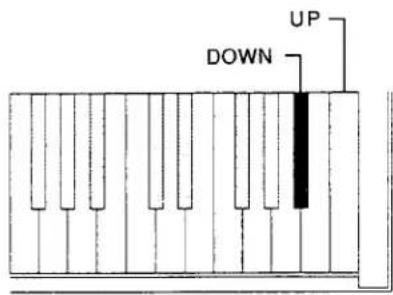 UP DOWN