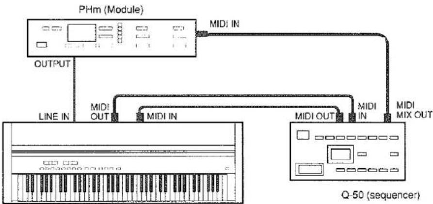 graph TD A["PHm (Module)"] -->|MIDI IN| B["Q-50 (sequencer)"] A -->|OUTPUT| C["Line IN"] A -->|MIDI OUT| D["MIDI IN"] A -->|MIDI IN| E["MIDI OUT"] A -->|MIDI IN| F["MIDI MIX OUT"] style A fill:#f9f,stroke:#333 style B fill:#ccf,stroke:#333 style C fill:#cfc,stroke:#333 style D fill:#fcc,stroke:#333…