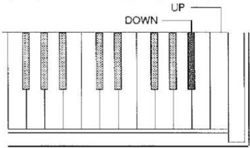 DOWN UP