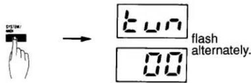 SYSTEM/ → fun flash alternately. 00