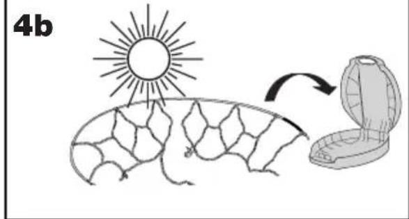 4b