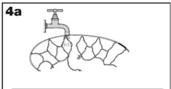 Diagram of a faucet inserted into a leaf with visible internal structures (no text or labels)