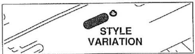 STYLE VARIATION