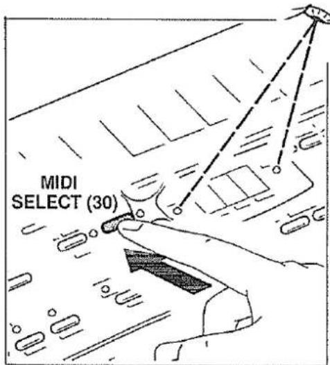 MIDI SELECT (30)