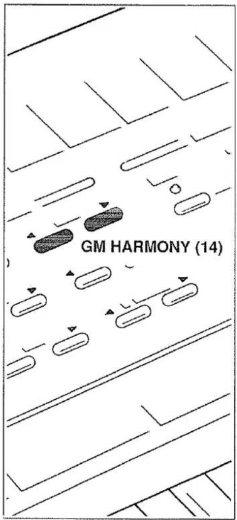GM HARMONY (14)