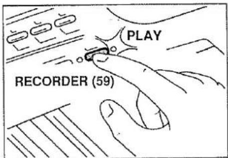 PLAY RECORDER (59)