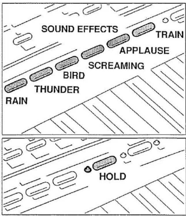 SOUND EFFECTS TRAIN APPLAUSE SCREAMING BIRD THUNDER RAIN HOLD