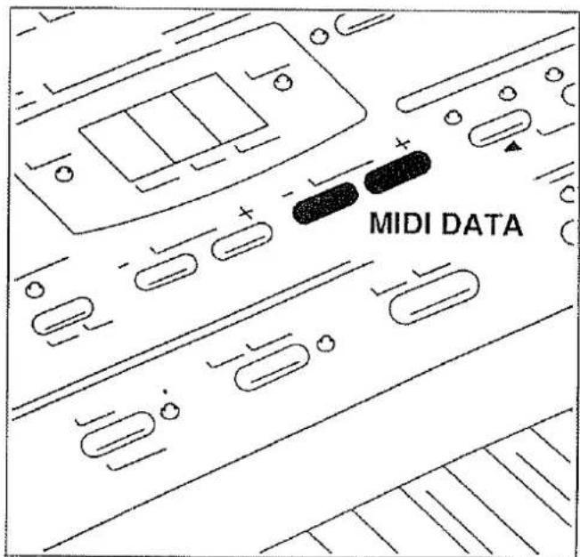 DONNÉES MIDI
