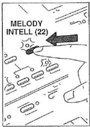 MELODY INTELL (22)