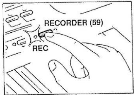 RECORDER (59) REC