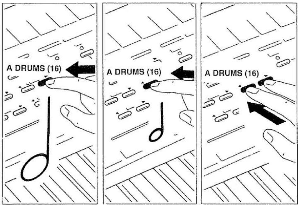 A DRUMS (16)