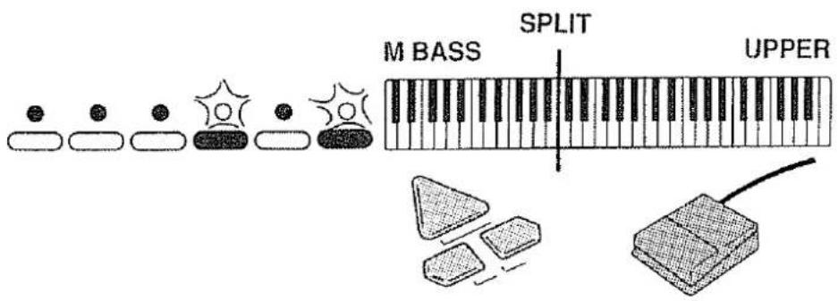 BASSE M DIVISION AIGU