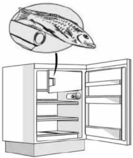 Illustration of a refrigerator with an open door, showing a fish inside (no text or symbols).