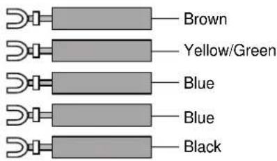 Brown Yellow/Green Blue Blue Black