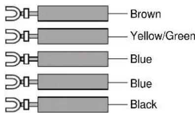 Brown Yellow/Green Blue Blue Black