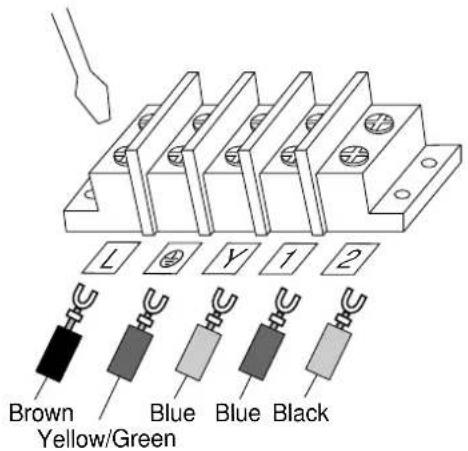 L Y 1 2 Brown Yellow/Green Blue Blue Black