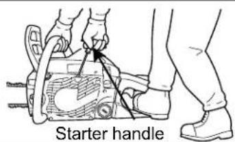 Starter handle