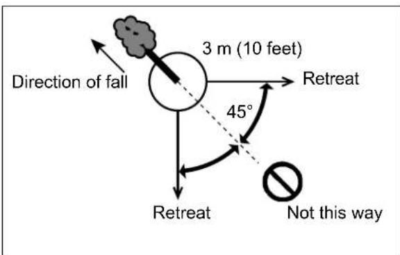 Direction of fall 3 m (10 feet) 45° Retreat Retreat Not this way