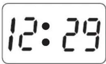 12:29