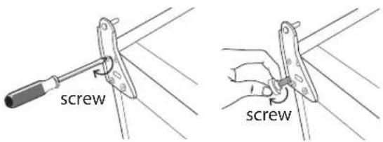 Screw screw