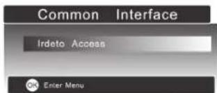 Common Interface Irdeto Access OK Enter Menu